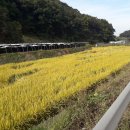 대소원면사무소 이미지