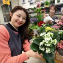 (봄맞이) 홈가드닝 이미지