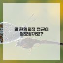 새생명한의원 이미지