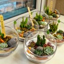 광진학교 | 서울 광진학교 교사연수 후기 마음치유 원예수업과 독서힐링원예 테라리움 만들기