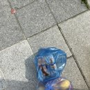 엄가네막퍼주는집 이미지