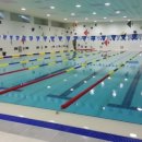 구미시 선산청소년수련관 수영장 이미지