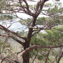 강서물산 이미지