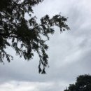 명인공방 - 고양시 일산서구 경의로 893 | 명인공방