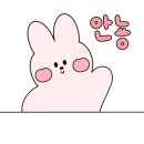 움라우트카페