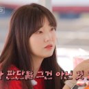 얄미운여우