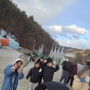 천안티엠알영농조합 | 청양 알프스마을 지금 왜가요? 1/1일 개장 후 가세요