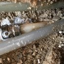 은하수경로당 이미지