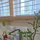 소문난장족발 이미지