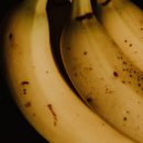 바나나 효능 공복에 먹으면 좋은 과일 이미지