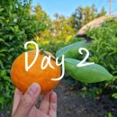 세훈농장 이미지