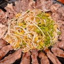 남부오양 이미지