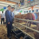 영월축산 이미지