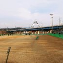 왕숙천둔치운동장 Daum카페