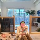 댕이멍이 이미지