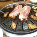 곤양한우마을 티스토리