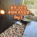 청심식당 | 프라이빗 힐링 호캉스 유원재 온천호텔 후기 :: Day 1 :: 객실 청심