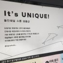 돌핀웨일대구노리터 이미지
