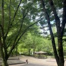 다리안 야영장 이미지