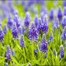 가락한의원 이미지