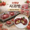 대구사과 | 대구 수형당 사과빵 내돈내산 후기 위치·가격·맛·보관방법