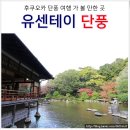 우천정 | 후쿠오카 단풍 시기 명소 : 유센테이 단풍 구경 가는법 포함