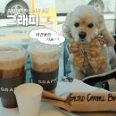 아라애견 | 검암 아라역 애견동반 카페 | 그래피 카페 버터바 맛집 후기