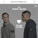 스톤이펙트