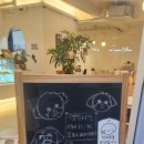 어서오시개 | [대구]동구 각산동 ‘더무드’ 애견 동반 카페 후기 ㅣ 대구 혁신도시 맛집
