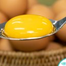 다움농장2 이미지