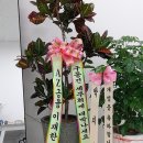 효성세무회계
