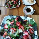 참살이 협동조합 이미지