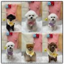 수변로19번길 이미지