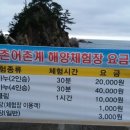 궁촌어촌체험마을 네이버블로그