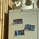 스테이달로 이미지