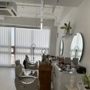 헤어보떼 이미지