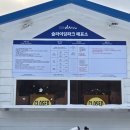 비고리조트 14 이미지