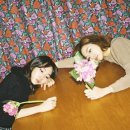 멜로디 세탁소 이미지