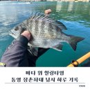 (주)바칸 | 선외기 대신 선택한 장촌낚시좌대 – 통영좌대낚시 완벽 후기