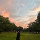 서현펫# 이미지