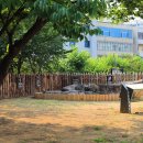 상동 지석묘군 이미지