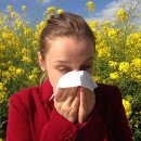 알레르기 이미지