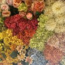 성균목장 이미지