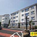 강정동-28 이미지