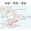피트니스 오름 네이버블로그