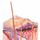 뭉트니스 이미지