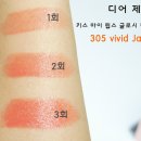 비비드 제인 Vivid Jane