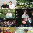 레알트렌드