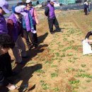 운영농장 이미지