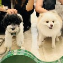 WITH DEW(윗듀) 이미지